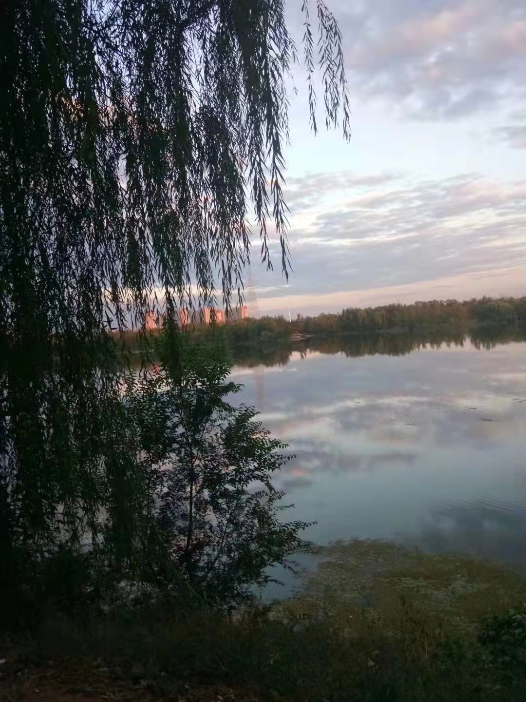 微信图片_20211202084730夏天1.jpg